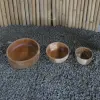 Product image 1 of the product “Salad bowls round, wide from teak root wood, Set of 3. Sizes: L: 25x25x9cm H. M:20x20x8cm H. S: 15x15x7cm H. ”